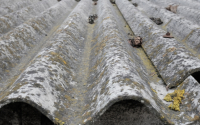  Understanding the Risks and Legal Responsibilities of Asbestos