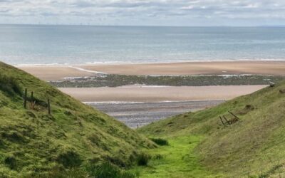 Asbestos Survey in Millom